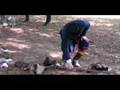 videos de Battle Of Stones Mill