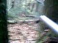 videos de Skirmish Lasham paintball 2