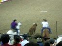 lee graves 3.1 steer wrestling at nile 2008 rodeo