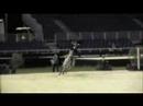Match Race - Rodrigo Pessoa (25-01-08)
