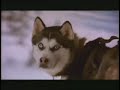 snowdogs-kar-k-pekleri-.html