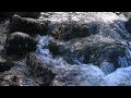 Stress Eliminator - Guided Relaxation Exercise