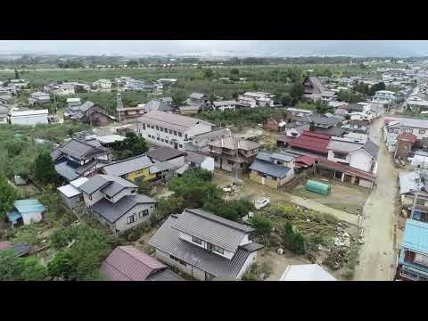 動画