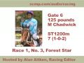 Racing tips for Sha Tin, Oct 1, 2009