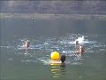 Trittonimarini al  Lago del Segrino