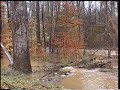 3-20-2003FloodingCamdenPlace