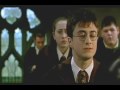 EL BANANERO POTTER ORIGINAL