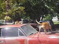 Video De Camila...!!!