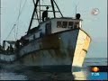Violación a las islas de Revillagigedo 2-2