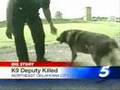 K-9 Deputy Killed During Pursuit