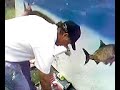 wyland life video day 8 section 4