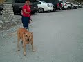Kim Senecal Visits North Etiwanda Preserve with Arika and Slinky