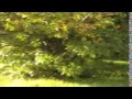 Testing My Honda Odyssey part 2 Testing My Honda Odyssey part 2