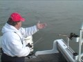 Tripz Diver Explanation