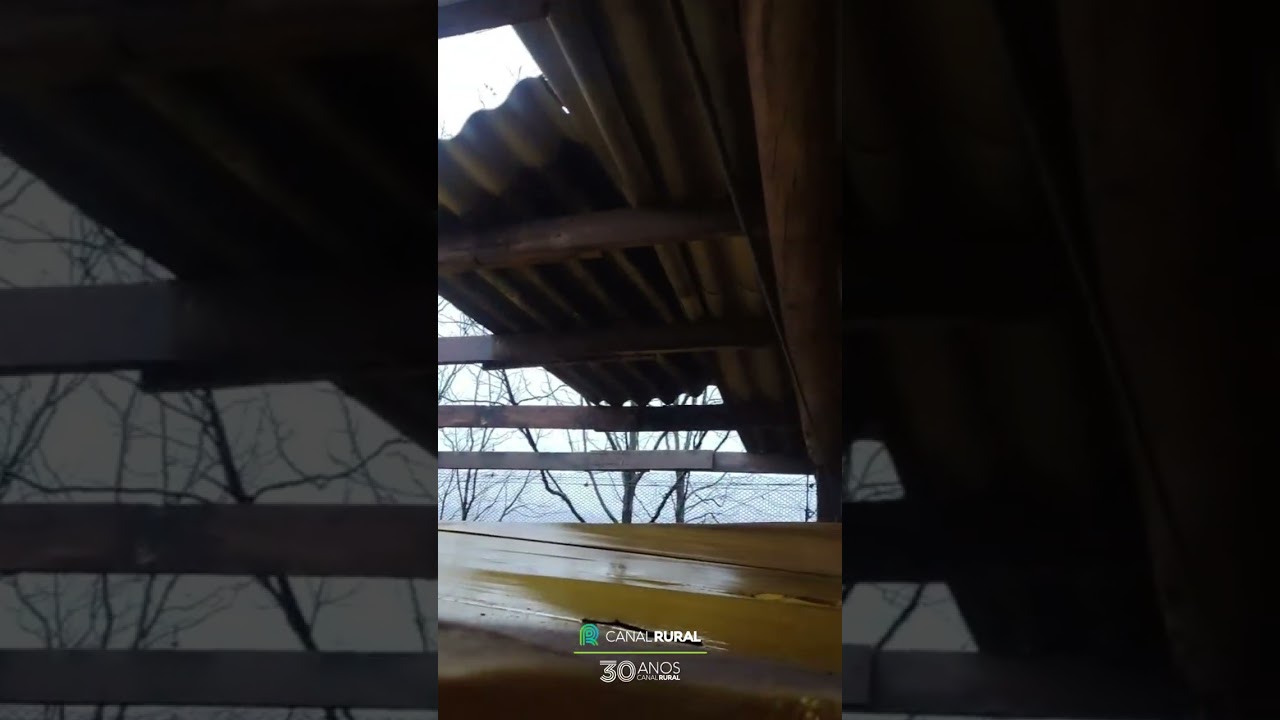 Chuvas e rajadas de ventos destelham galpão de produtor no interior do RS