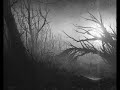 If Lonelyness Had a Name  (Orignal Song)