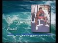 Surfing & Aerobics