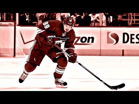 TOP 10 || Goals by Mikkel Boedker