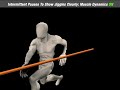 Muskeelar: With and Without Dynamics Muskeelar: With and Without Dynamics