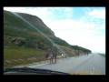 videos de Norge way