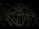 music video by yann tonnar for luxembourgish band 
