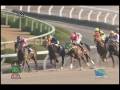 videos de [レースリプレイ] 081115 5京都3 10R 円山特別