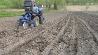 Минитрактор, укрытие всходов картофеля переломкой