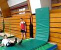 Wall Flip