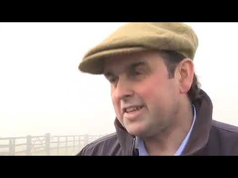 racing results cheltenham