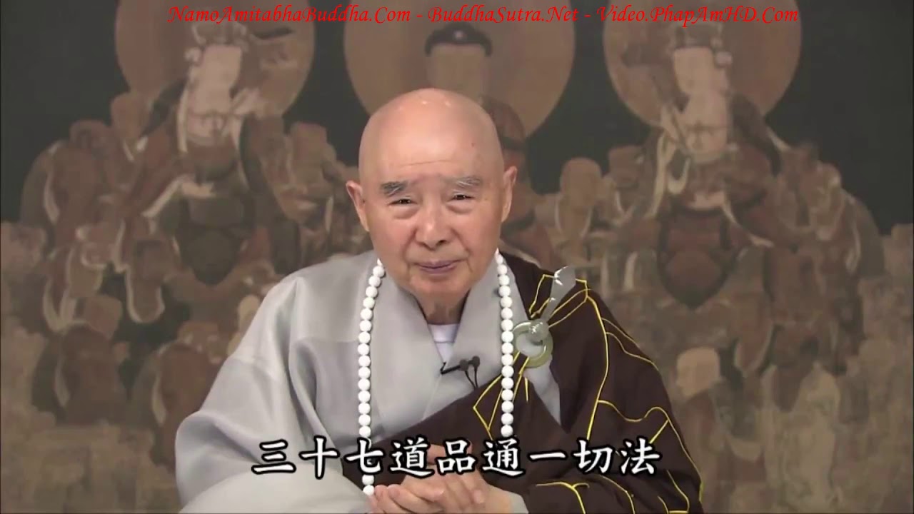 Tập 339 Trong Kinh Hoa Nghiêm Một Là Tất Cả  Tất Cả Là Một, Tịnh Độ Đại Kinh Giải Diễn Nghĩa, Diệu Â