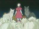Wolf\