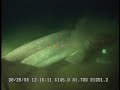 rare massive 6 gill shark sighting at 3300 ft depth!!
