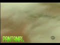 A trilha sonora da novela Pantanal se imortalizou em 1990 no coração e na mente do público, com suas belíssimas e marcantes canções que o remetia a toda exuberância do Pantanal. Em 2008, na reprise do SBT, as músicas da novela continuam sendo um dos maiores atrativos. Relembre, ou conheça, a música 