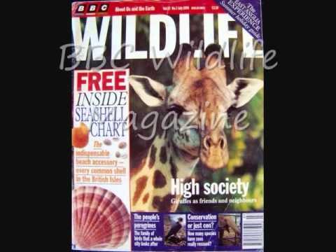 international publications - Here you will see some of Jon Triffo books and magazines publication.