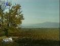Φασόλι - παραδοσιακή καλλιέργεια με μέλλον