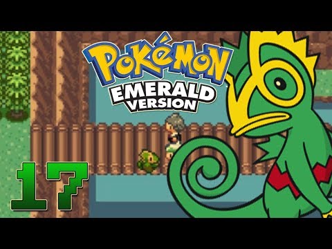 how to go to fortree city in pokemon emerald