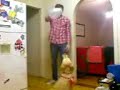 golden retriever 1 b.f.g 0 (\"bugga off !\")