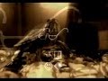 videos de Mi tortuga de oreja roja: Oogwey