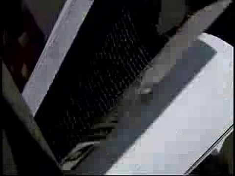 Rochester - 20 years of "topfree ...