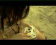 Bossa Blossom 2-Music Video เพลงฤดูร้อน