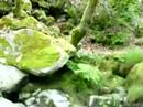 Rio Barbantoño (Ourense)
