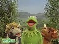 Sesame Street: Do-op Hop With Kermit