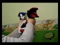 Super Sonic dance moves