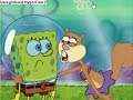 Spongebob and Sandy- Who Knew Spongebob and Sandy- Who Knew