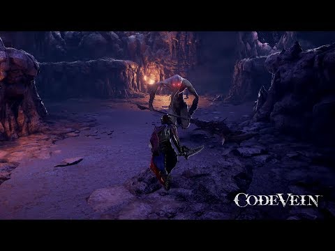 Vidéo 1
