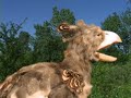 dino dreams stop motion