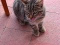 091-la-vida-que-mala-es.html