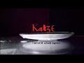 Katze - Hübsch aber Dumm