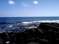 Birthday chill day hawaii dec 9 '09 tom callos