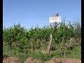 TURISMO EN GENERAL ROCA  -  AGROTURISMO